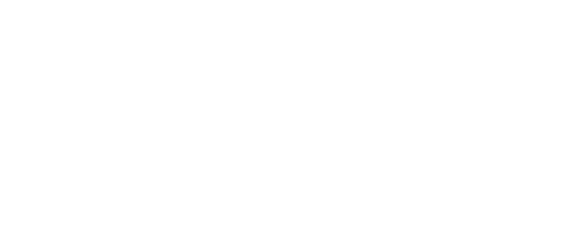 YOLO LIFE GROUP